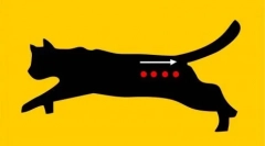 De ce pisicile sunt purtate înainte de a merge la toaletă în mare